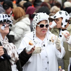 17. Međužupanijski fašnik umirovljenika i građana u Ivanić Gradu