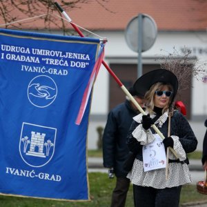 17. Međužupanijski fašnik umirovljenika i građana u Ivanić Gradu