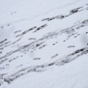 Zagrepčane jutros dočekao bijeli pokrivač