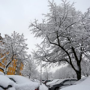 Zagrepčane jutros dočekao bijeli pokrivač