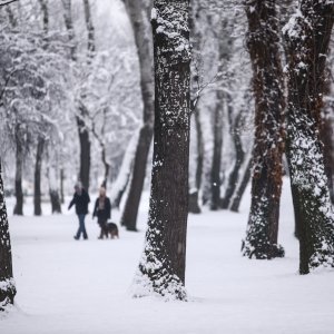 Zagrepčane jutros dočekao bijeli pokrivač