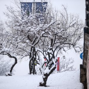 Zagrepčane jutros dočekao bijeli pokrivač