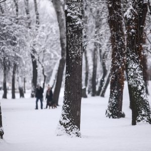 Zagrepčane jutros dočekao bijeli pokrivač