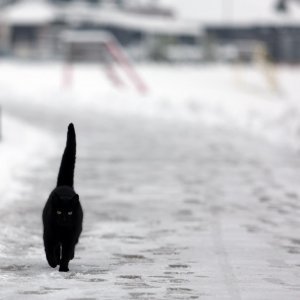 Zagrepčane jutros dočekao bijeli pokrivač