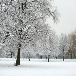 Zagrepčane jutros dočekao bijeli pokrivač