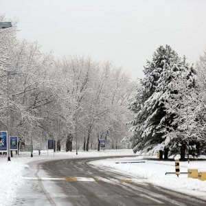 Zagrepčane jutros dočekao bijeli pokrivač