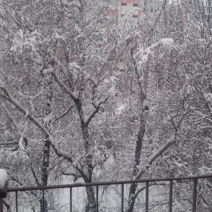 Zimska idila iz objektiva čitatelja tportala - snijeg u Gajnicama