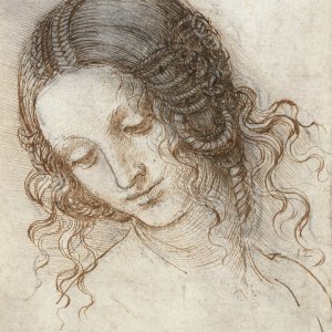 Glava Lede, 1504-6