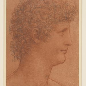 Glava mladića iz profila, 1510