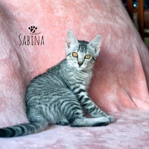 Sabina