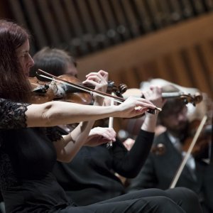 Koncert Zagrebačke filharmonije i Mateja Meštrovića "Kineska Nova godina"