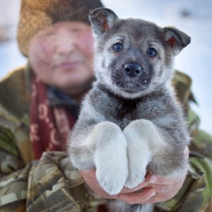 Ojmjakon – najhladnije mjesto na svijetu