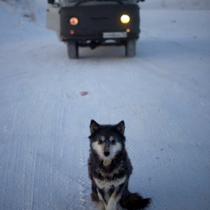 Ojmjakon – najhladnije mjesto na svijetu