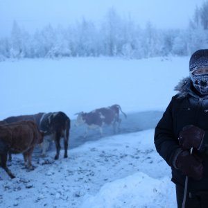 Ojmjakon – najhladnije mjesto na svijetu