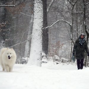 Snježna idila u zagrebačkom parku Tuškanac
