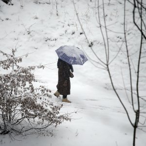 Snježna idila u zagrebačkom parku Tuškanac