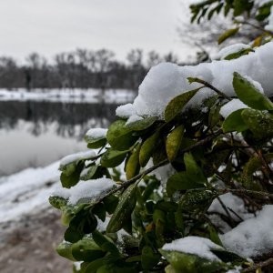 Idilični prizori parka Maksimir prekrivenog snijegom