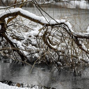 Idilični prizori parka Maksimir prekrivenog snijegom