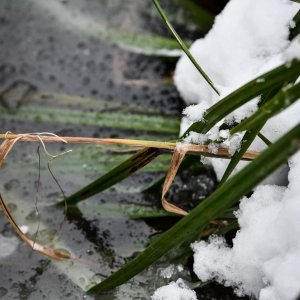 Idilični prizori parka Maksimir prekrivenog snijegom