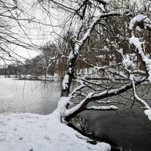 Idilični prizori parka Maksimir prekrivenog snijegom