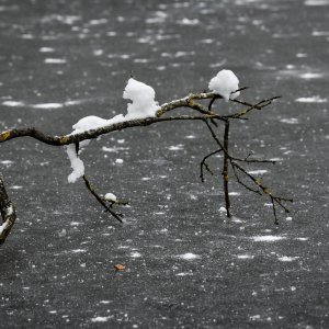 Idilični prizori parka Maksimir prekrivenog snijegom