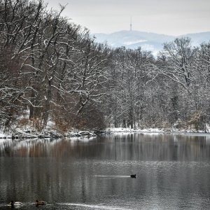 Idilični prizori parka Maksimir prekrivenog snijegom