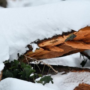 Idilični prizori parka Maksimir prekrivenog snijegom