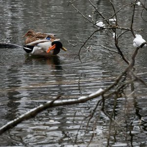 Idilični prizori parka Maksimir prekrivenog snijegom