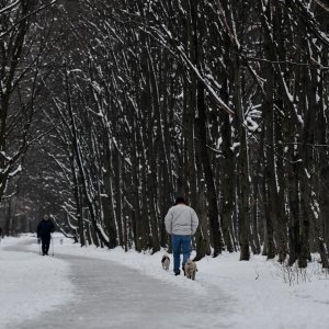 Idilični prizori parka Maksimir prekrivenog snijegom