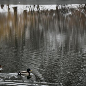 Idilični prizori parka Maksimir prekrivenog snijegom