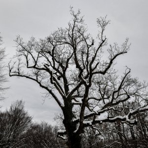 Idilični prizori parka Maksimir prekrivenog snijegom