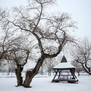 Iznimno niske temperature zaledile su jezero Jarun