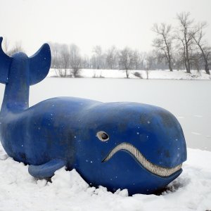 Iznimno niske temperature zaledile su jezero Jarun