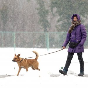 Iznimno niske temperature zaledile su jezero Jarun