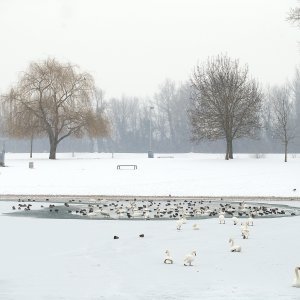 Iznimno niske temperature zaledile su jezero Jarun