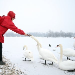 Iznimno niske temperature zaledile su jezero Jarun