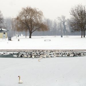 Iznimno niske temperature zaledile su jezero Jarun