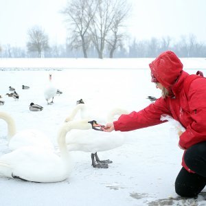 Iznimno niske temperature zaledile su jezero Jarun