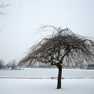 Iznimno niske temperature zaledile su jezero Jarun