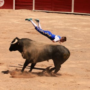 Borba s bikom bez krvoprolića