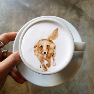 Umjetnost u šalici kave