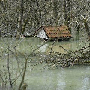 Hrvatska vojska postavlja zečje nasipe