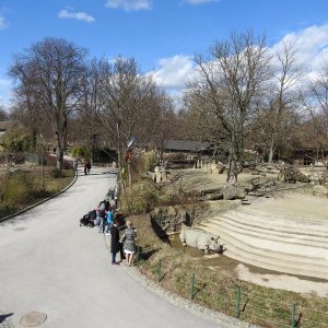 Bečki zoološki vrt Schönbrunn