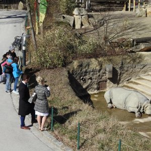 Bečki zoološki vrt Schönbrunn