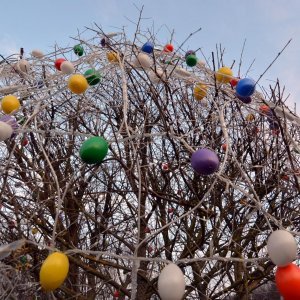 Uskrsna priča na imanju Salaj