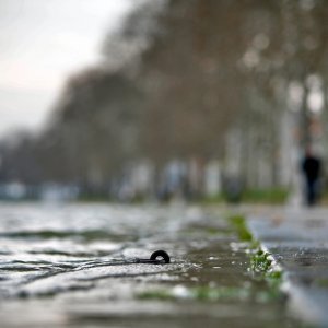 Visok vodostaj Save u Slavonskom Brodu