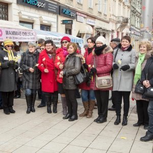 Osijek: Obilježen Dan narcisa