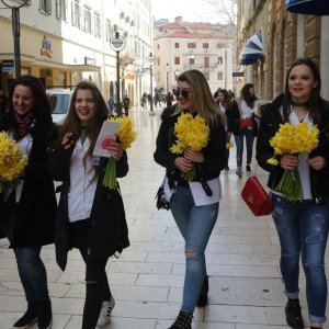 Rijeka: Humanitarna prodaja narcisa za kupnju uređaja za odjel ginokologije na KBC-u