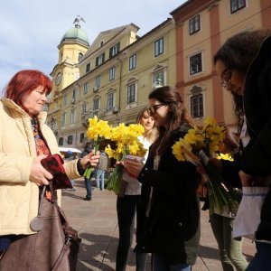 Rijeka: Humanitarna prodaja narcisa za kupnju uređaja za odjel ginokologije na KBC-u