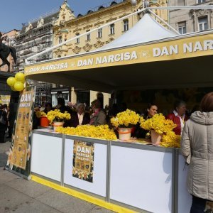 Obilježavanje Dana narcisa na Trgu bana Jelačića